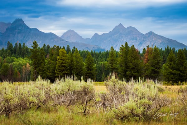 Glacier Meadow Walk