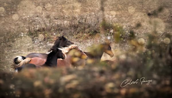 You've Run Long Enough