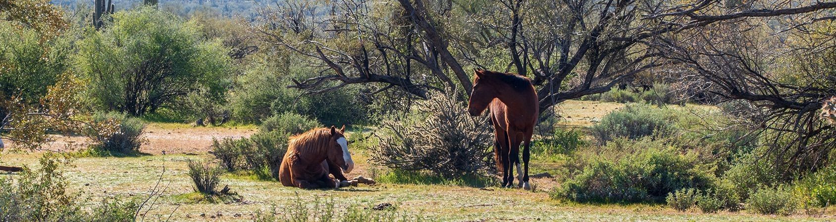 
        <div class='title'>
          IMG 0349 11
        </div>
       