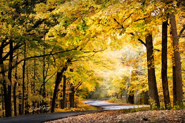 Narrow Road to Light