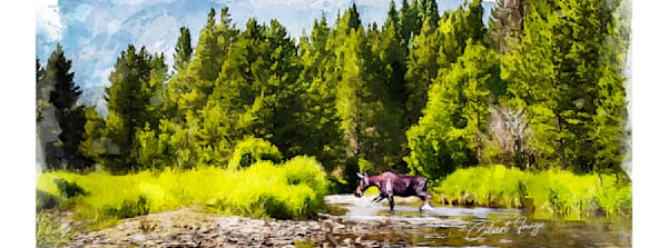 Moose Splash Watercolor