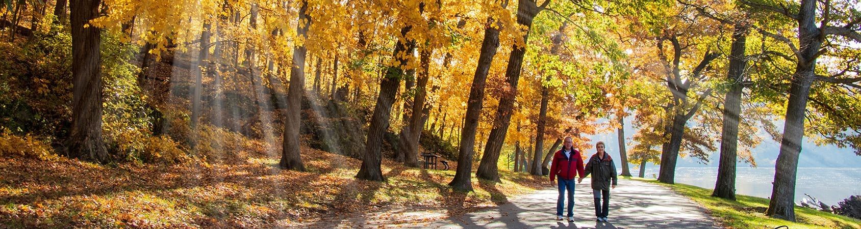 
        <div class='title'>
          Palisades Stroll hm pg banner
        </div>
       