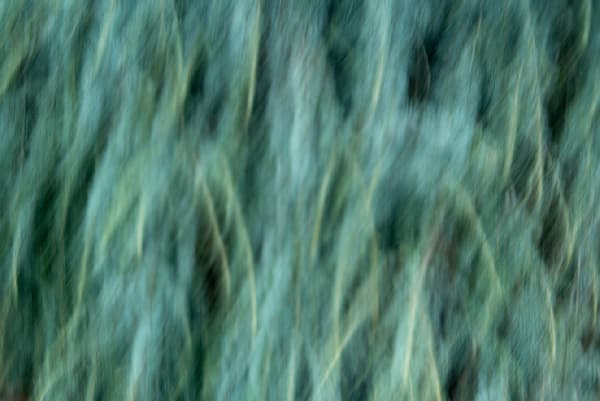 Icm Outdoors Project 2 2026 4050 Photography Art | brubakerfineartphotography