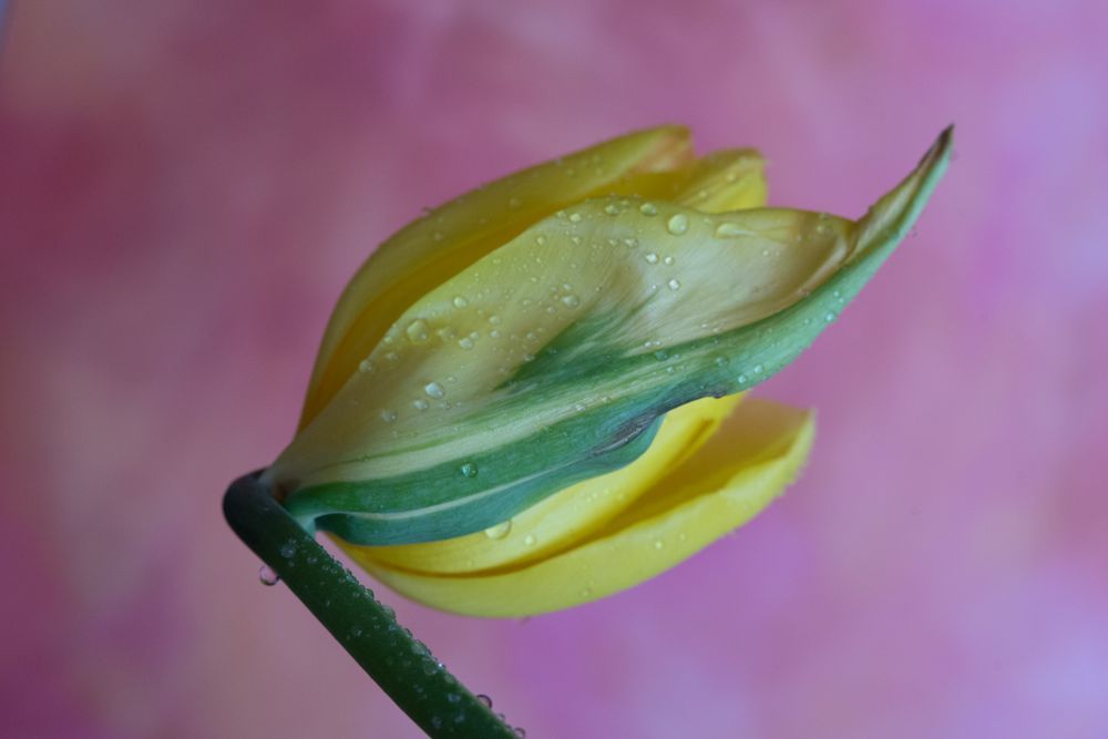 'reaching Out' Photography Art | brubakerfineartphotography