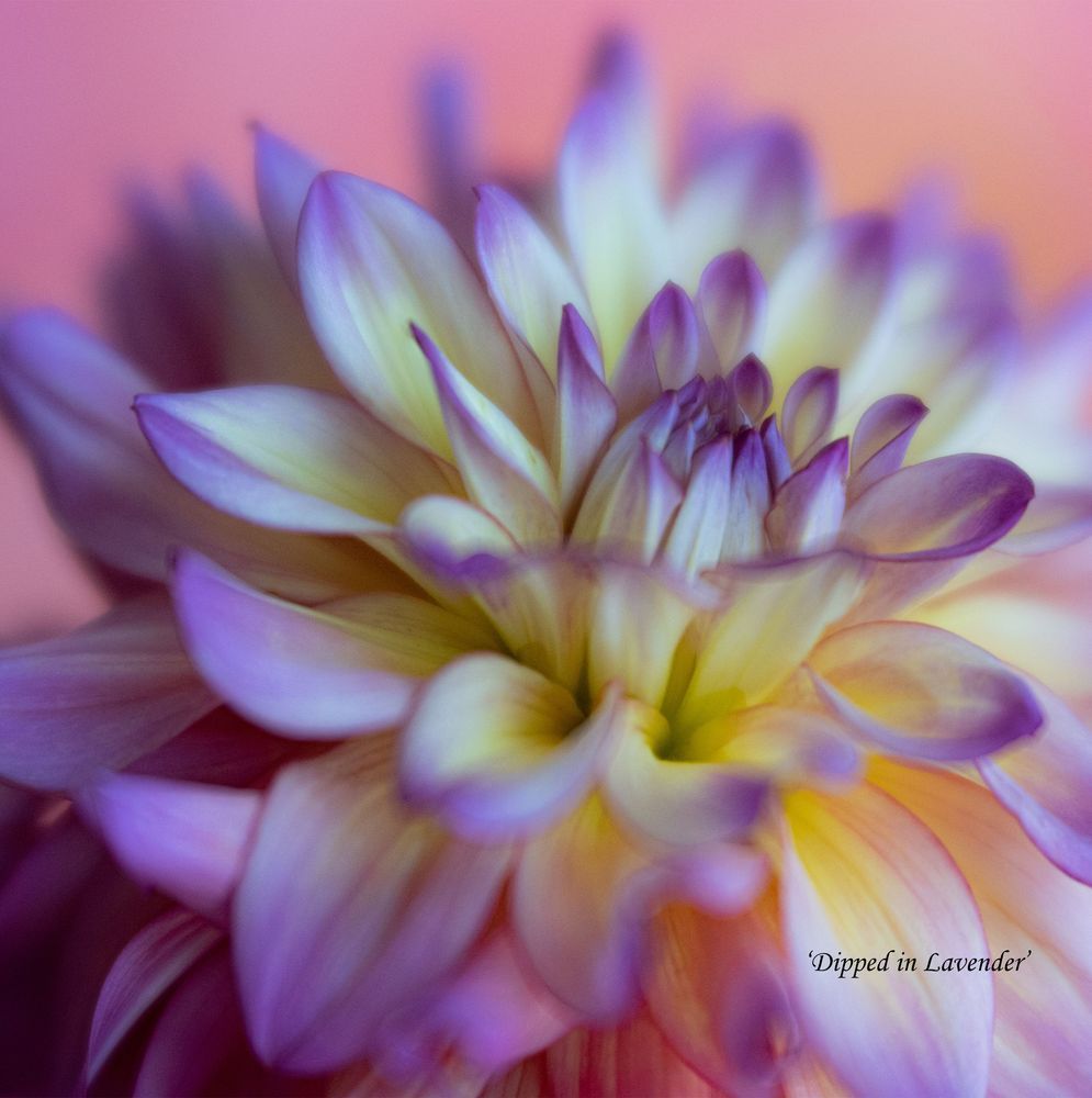 January22 1 Photography Art | brubakerfineartphotography