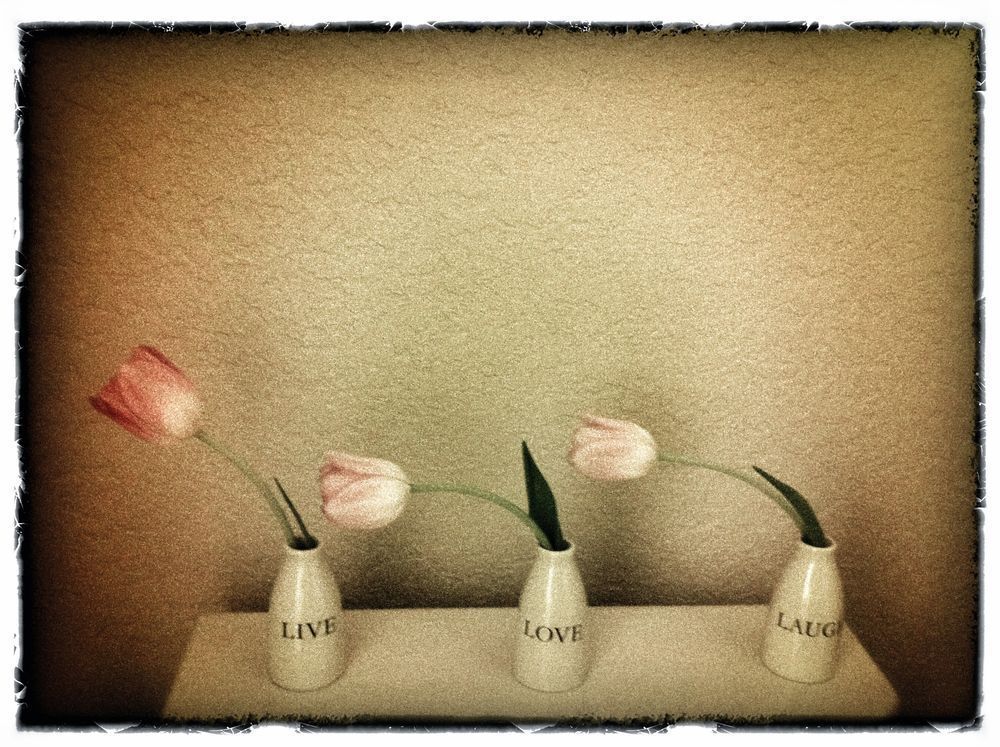 'live, Laugh, Love' Photography Art | brubakerfineartphotography