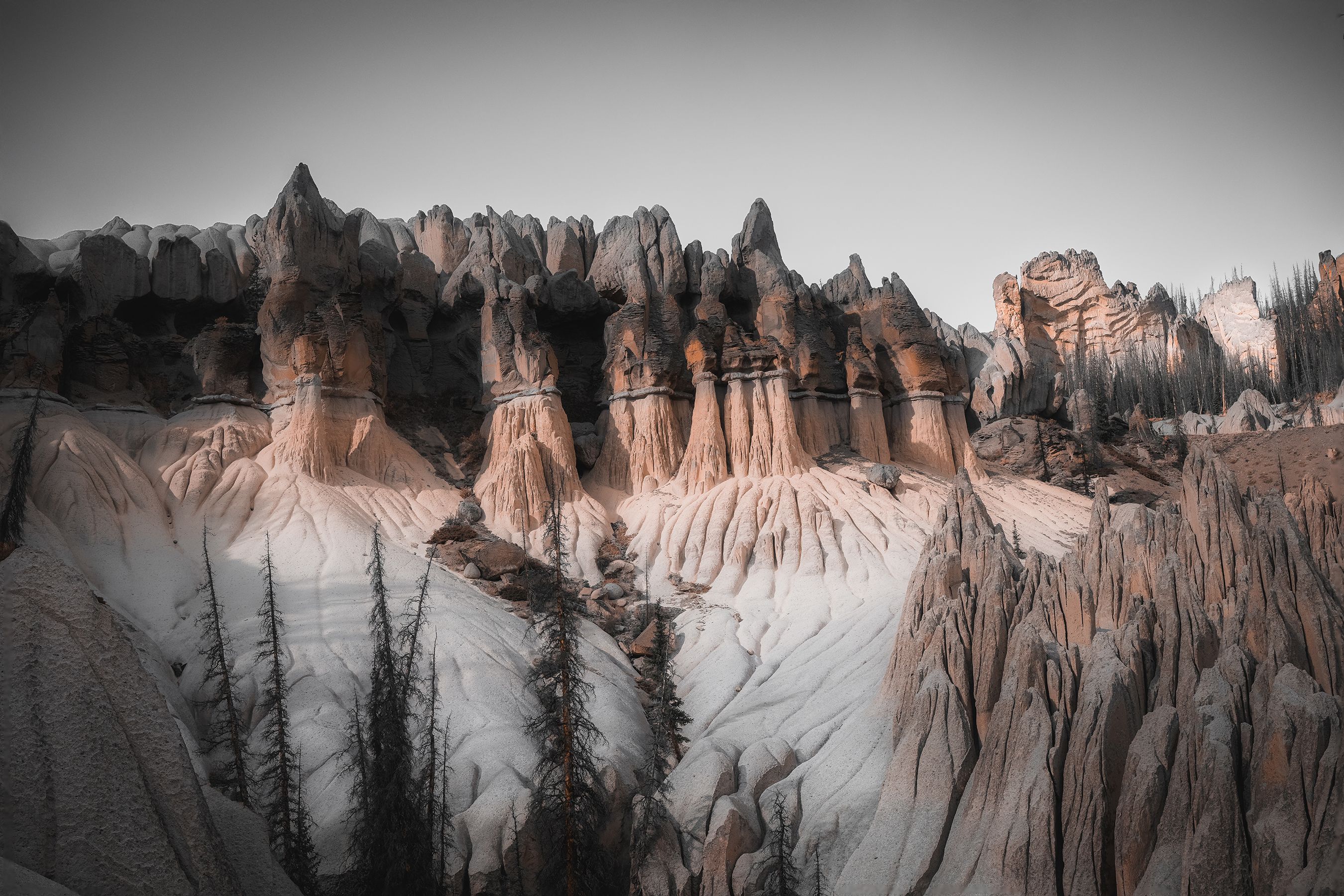 
        <div class='title'>
          Hoodoo billboard
        </div>
       