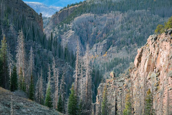 Bigfoot Art | Wildeye Photography