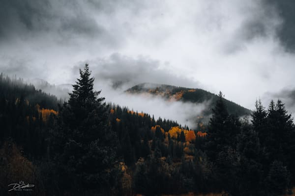 Blend Art | Wildeye Photography