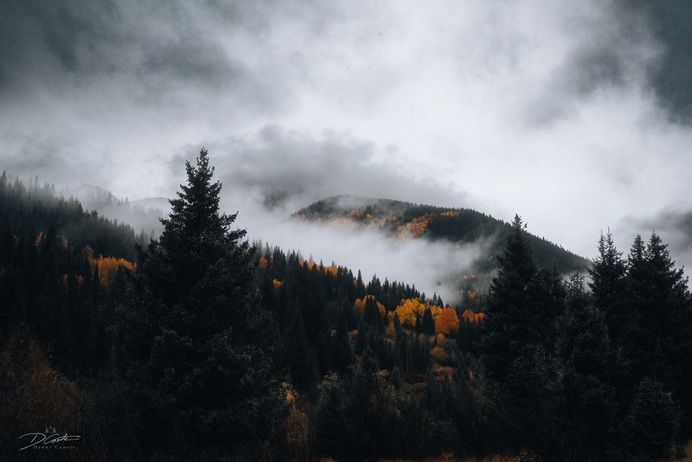 Blend Art | Wildeye Photography