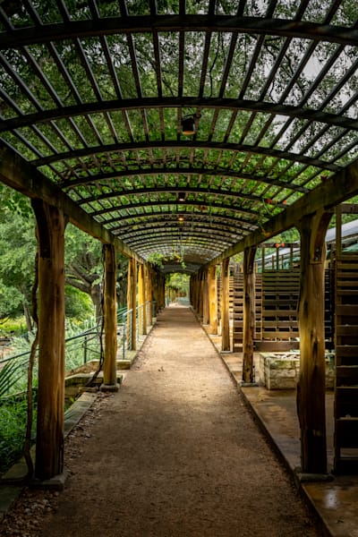 Breeze Art | Wildeye Photography
