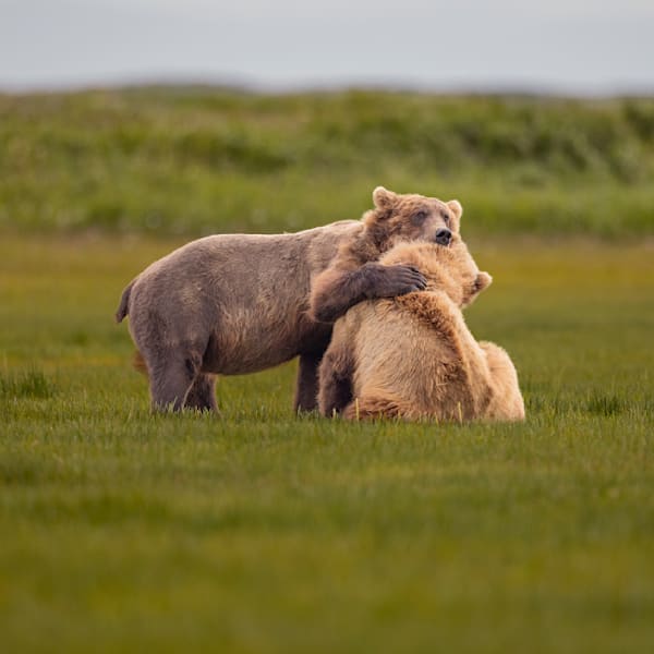 Bear Hug