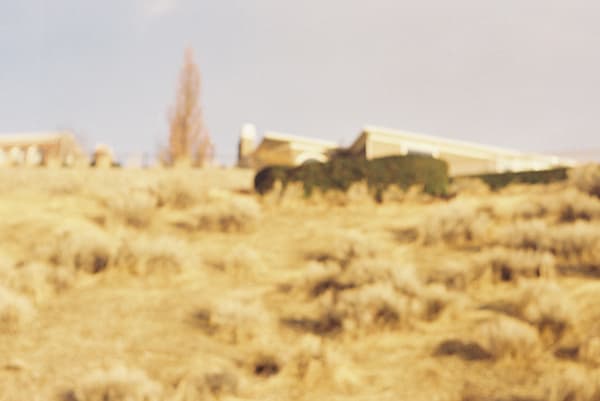 ? Art | sl,ut lake city