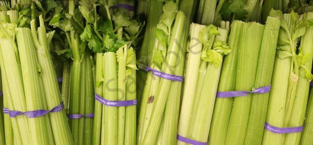 Celery 01 Photography Art | RMaging Gallery Associates