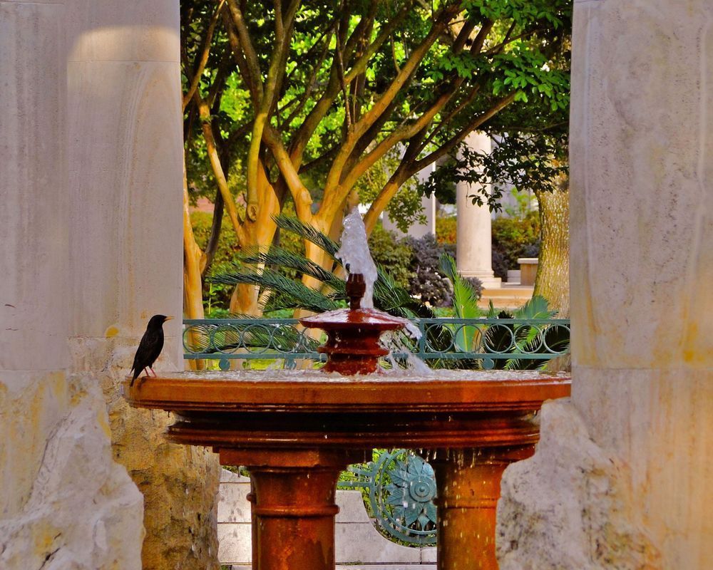 Peaceful Drink Photography Art | RMaging Gallery Associates