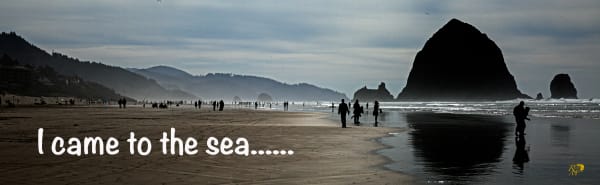 I Came To The Sea Photography Art | RMaging Gallery Associates