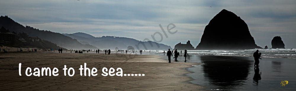 I Came To The Sea Photography Art | RMaging Gallery Associates