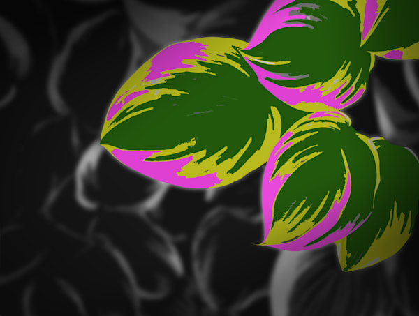 Leaves Number 2 Photography Art | RMaging Gallery Associates