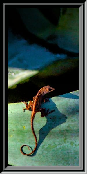 Lizard On Leaf Photography Art | RMaging Gallery Associates