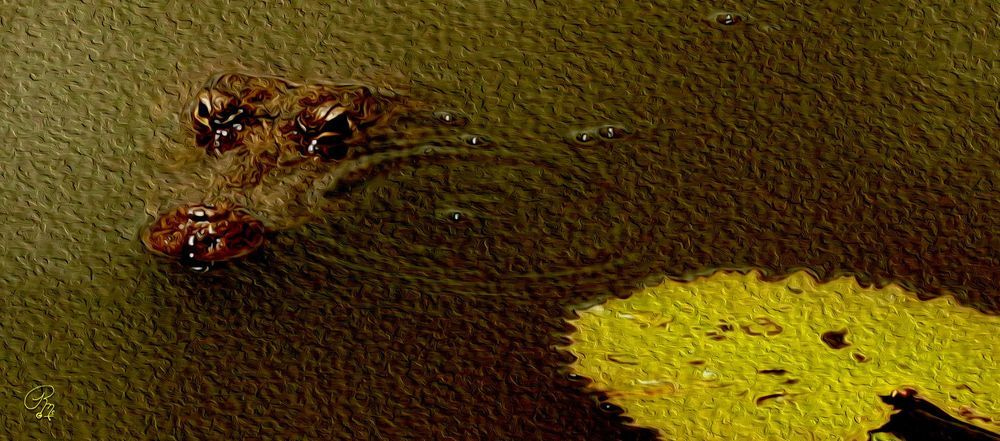 Watery Eyes Photography Art | RMaging Gallery Associates