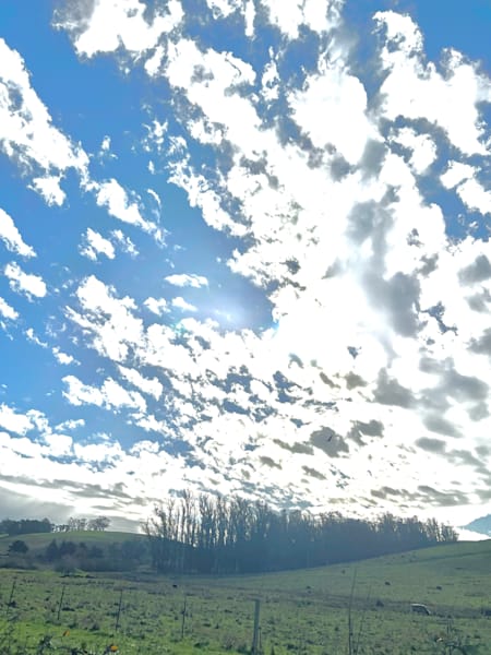 The Beauty Of Life Photography Art | Blaise Auberson