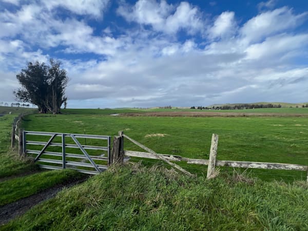 Feeling Of Freedom Photography Art | Blaise Auberson