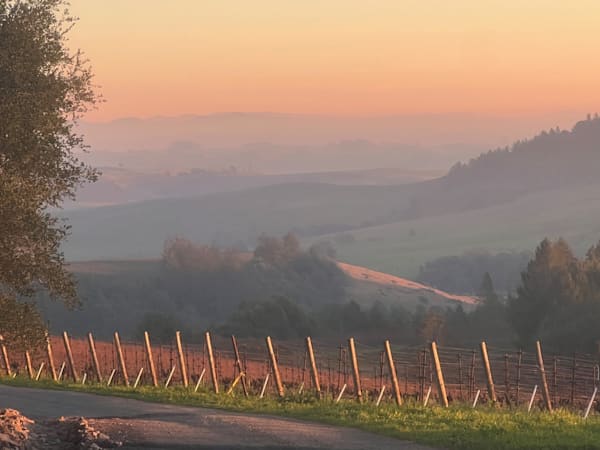 Wine country 2026