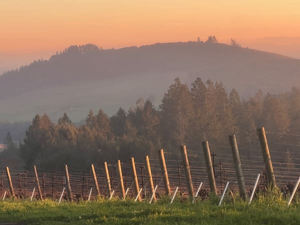 Sunset Calm #1 Photography Art | Blaise Auberson