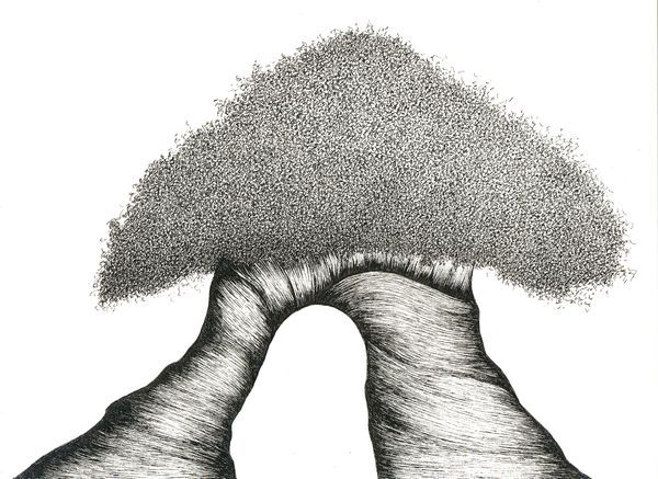 Black and White - Nature