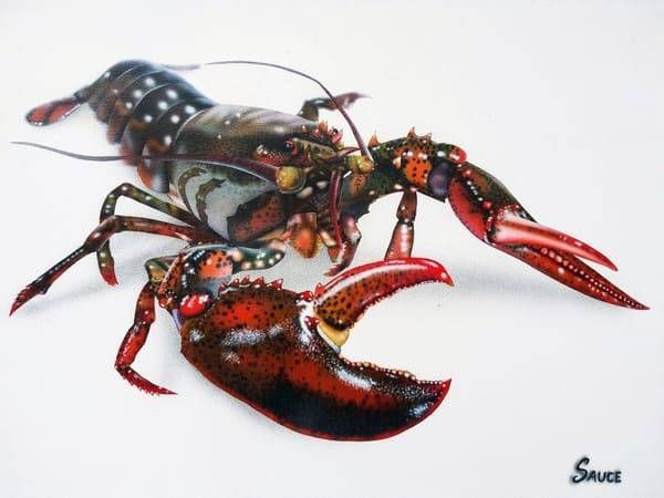 Marine Life and Seafood