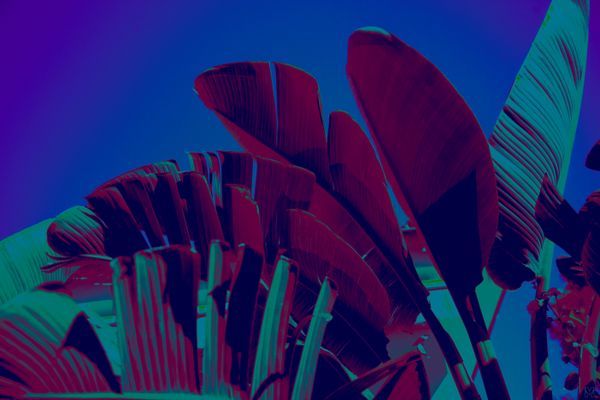 Print on demand - Infrared Photography