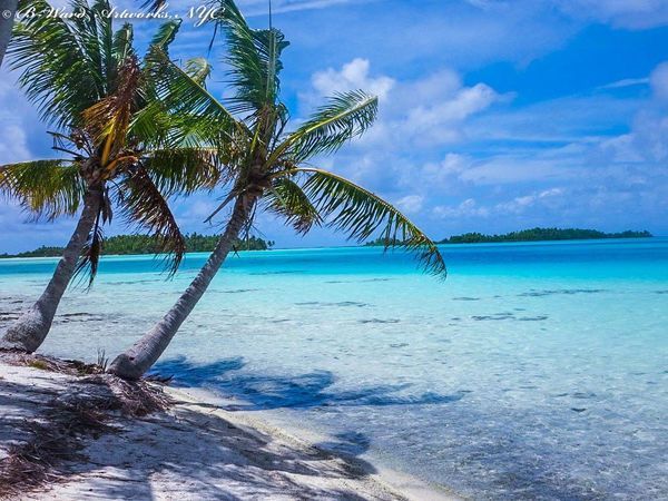 RANGIROA-2018-8.jpg