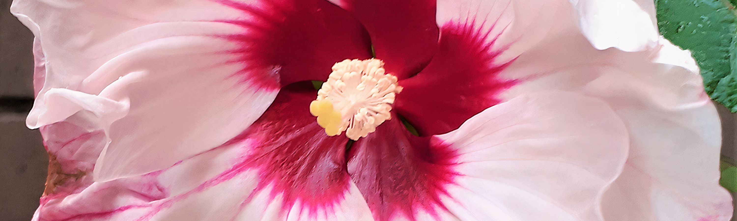 
        <div class='title'>
          1
        </div>
       