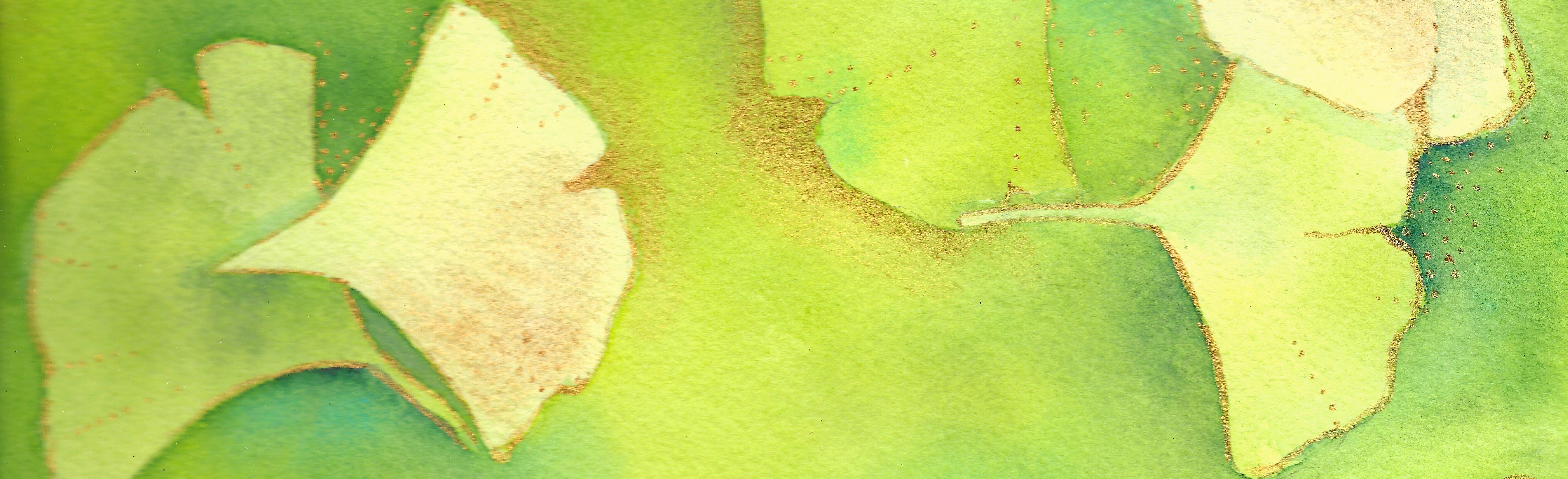 
        <div class='title'>
          WC ginkgo leaves
        </div>
       