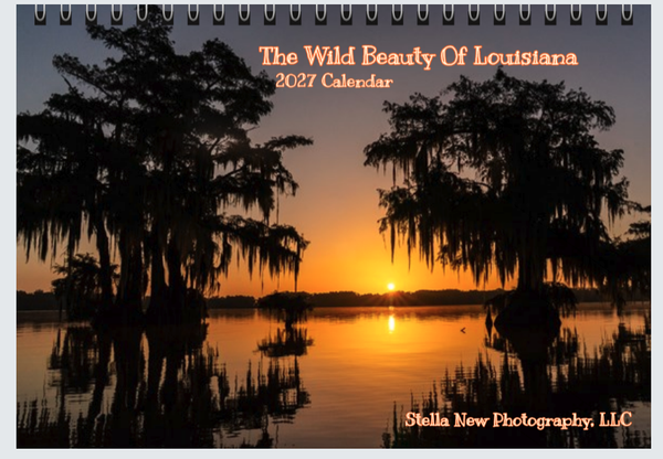 Calendars