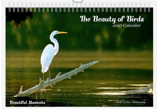 2027 Birds Calendar 8x12