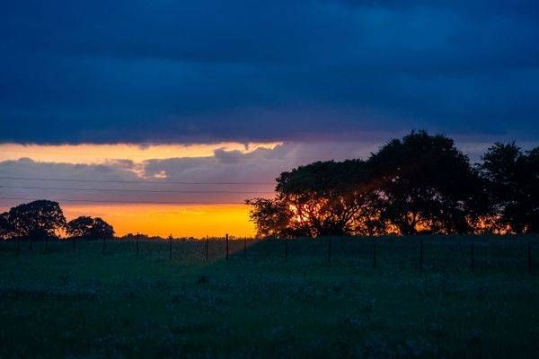 Golden Sunset