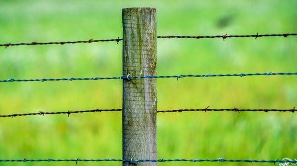 Rustic Fence Post