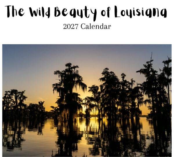 2027 Calendar- 8x6 Wild Louisiana