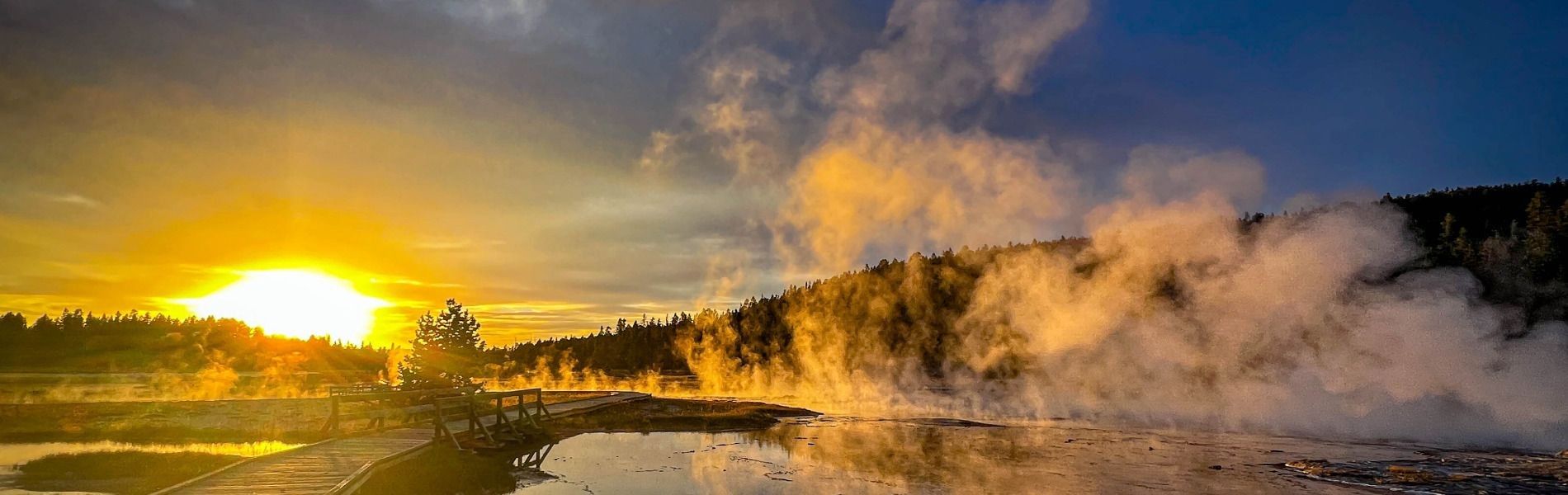 
        <div class='title'>
          Yellowstone 704
        </div>
       