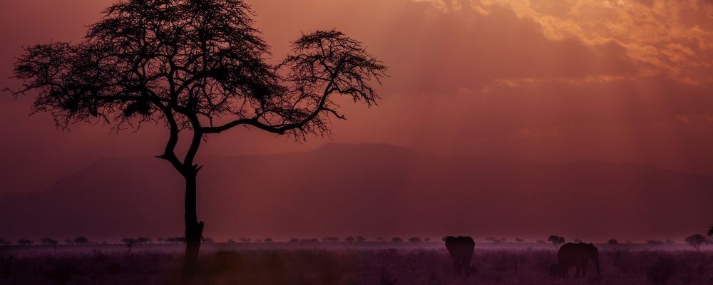 
        <div class='title'>
          Copy of Untitled Design (2)
        </div>
       