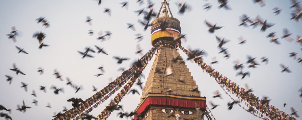 
        <div class='title'>
          Copy of Untitled Design (1)
        </div>
       