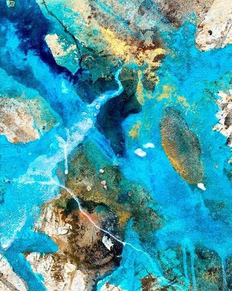 Secrets Of The Tidal Pools 7 Art | Olivia Alexander Art