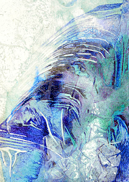 Hamptons   Blue & White