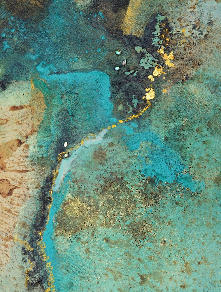 Secrets Of The Tidal Pools 6 Art | Olivia Alexander Art