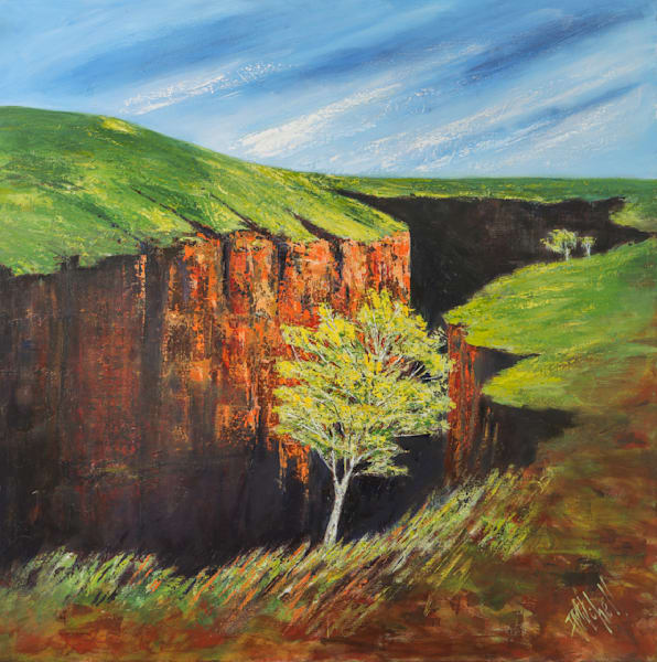The Canyon Art | Pamela Mitchell Art
