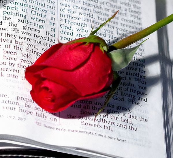 For His Glory