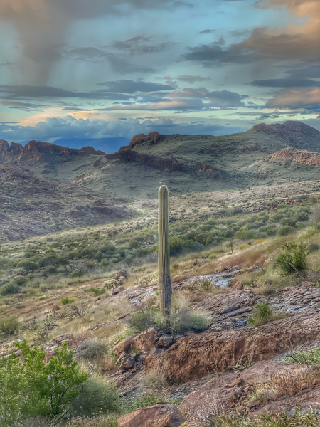 Landscape