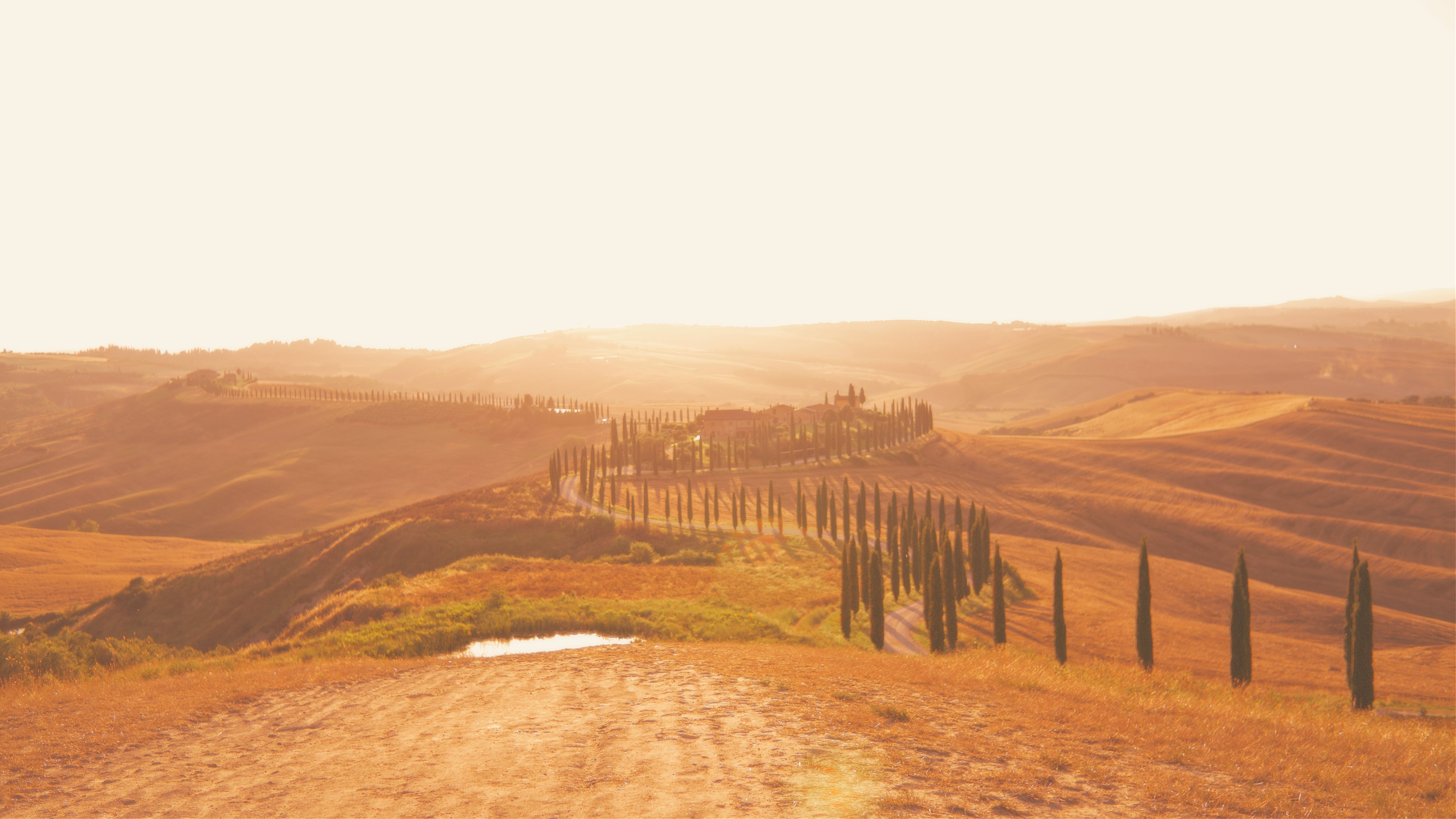 
        <div class='title'>
          Crete Senesi Banner
        </div>
       