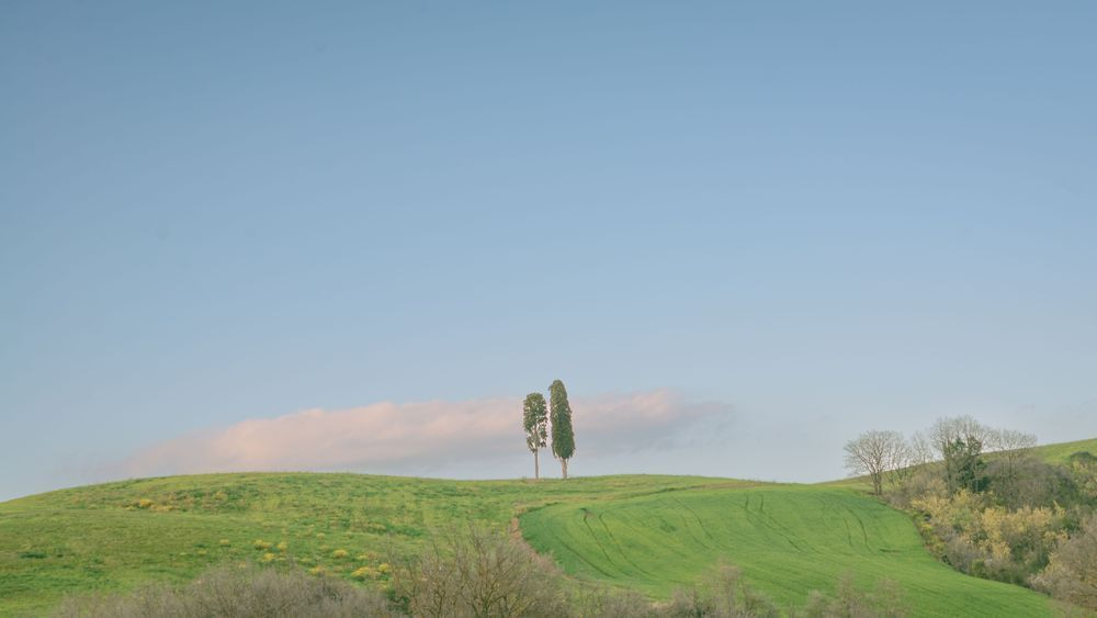 Countryside Stilness Photography Art | W.V.L. Photograph
